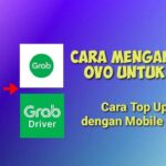 Tips Login Gacor OVO Terbaru