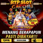 Situs Casino XL Terbaik di Indonesia: Kumpulan Permainan Seru